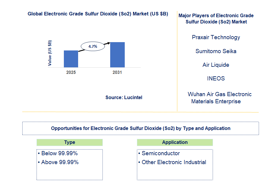 Electronic Grade Sulfur Dioxide (So2) Market Trends and Forecast